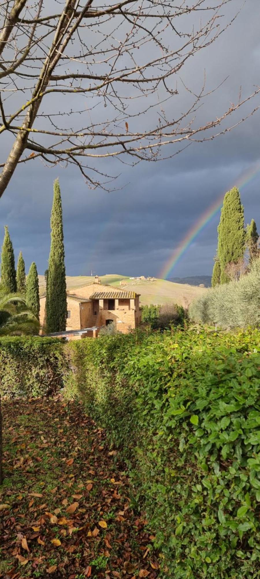 Agriturismo S. Eurosia Montalcino Ruang foto